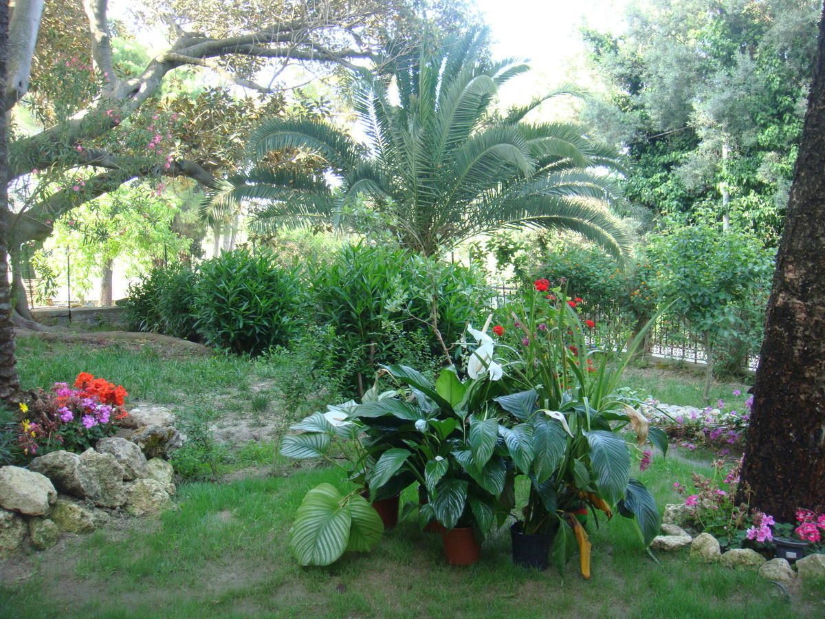 Villa La Cucullera Catanzaro Exterior photo